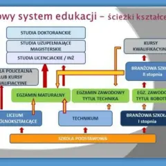 Schemat ścieżek kształcenia w nowym systemie edukacji, od szkoły podstawowej do studiów doktoranckich.