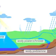 Ilustracja cyklu wodnego: słońce, parowanie, chmury, deszcz, wody powierzchniowe i podziemne.