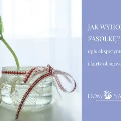 Fasolka w słoiku, ozdobionym wstążkami, jako opis eksperymentu "Jak wyhodować fasolkę?".