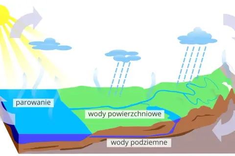 Ilustracja cyklu wodnego: słońce, parowanie, chmury, deszcz, wody powierzchniowe i podziemne.