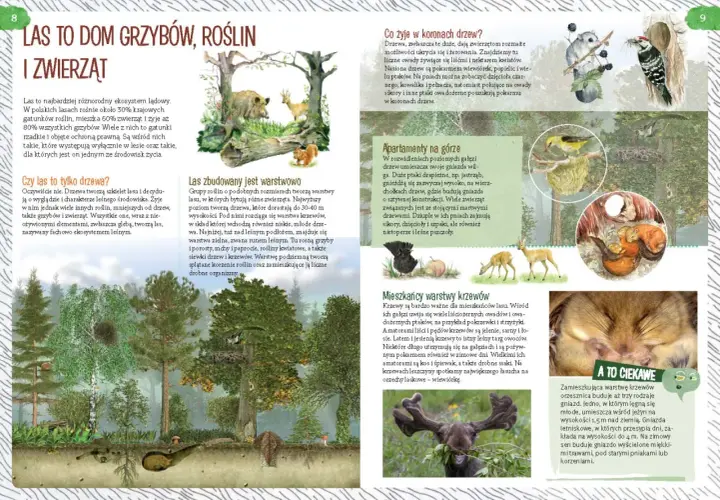 Ilustracja przedstawia las z różnymi zwierzętami i roślinami, w tym dzikiem, sarną, wiewiórką i ptakami.