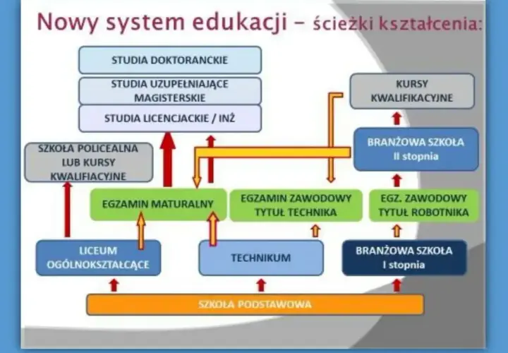 Schemat ścieżek kształcenia w nowym systemie edukacji, od szkoły podstawowej do studiów doktoranckich.