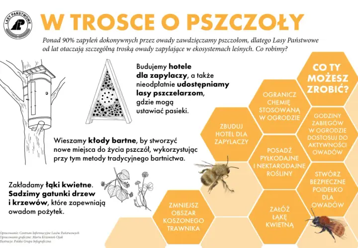 Ilustracja przedstawia pszczoły, hotele dla owadów i elementy tradycyjnego bartnictwa.