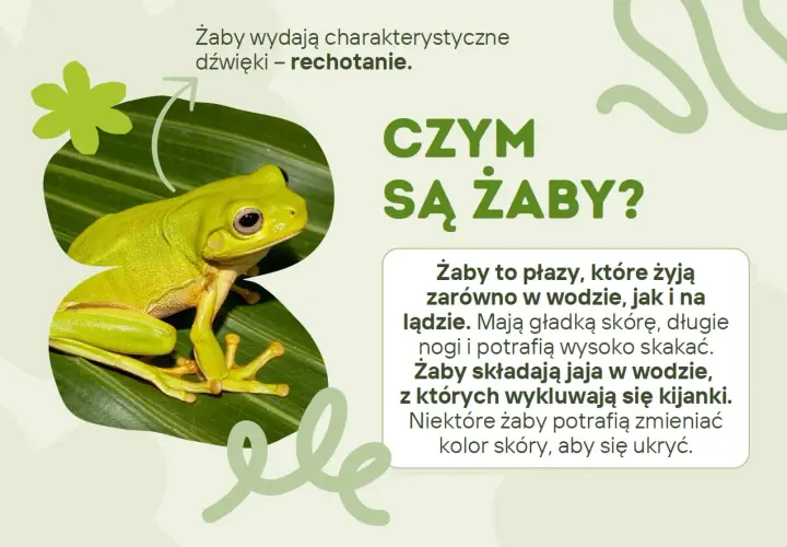 Zielona żaba siedząca na liściu, z tekstem "Czym są żaby?".