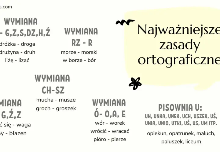 Grafika przedstawia zasady wymiany liter i pisowni w języku polskim, z przykładami.