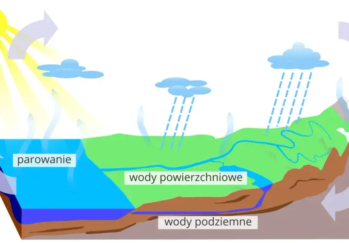 Ilustracja cyklu wodnego: słońce, parowanie, chmury, deszcz, wody powierzchniowe i podziemne.
