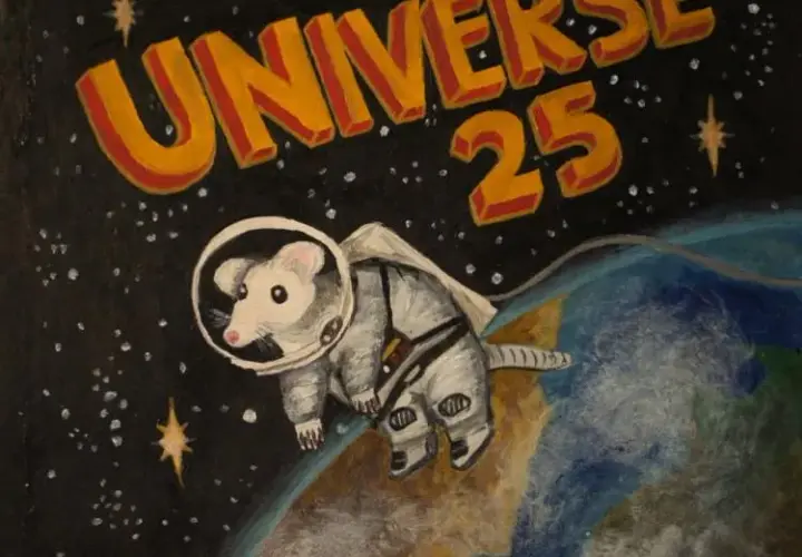 Eksperyment Universe 25: Lekcja dla ludzkości?