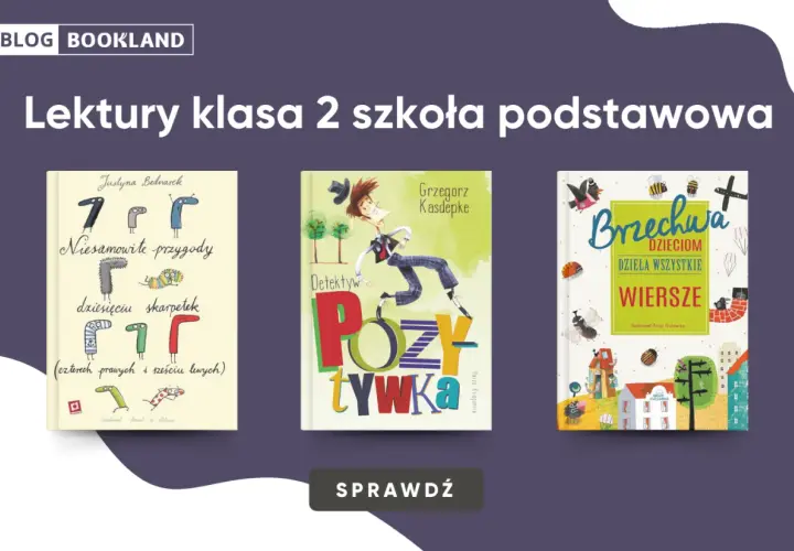 Trzy okładki książek dla dzieci: "Niesamowite przygody dziesięciu skarpetek", "Detektyw Pozytywka" i "Brzechwa dzieciom".