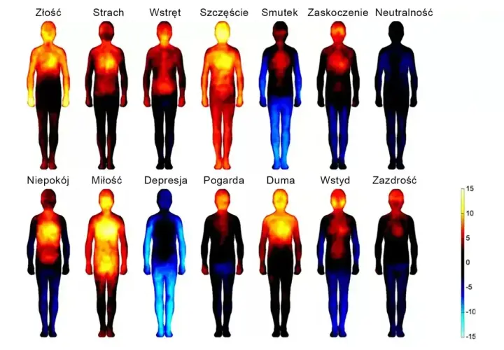 Sylwetki ludzi z kolorowymi mapami cieplnymi, ilustrujące różne emocje: złość, strach, wstręt, szczęście, smutek, zaskoczenie, neutralność, niepokój, miłość, depresja, pogarda, duma, wstyd, zazdrość.