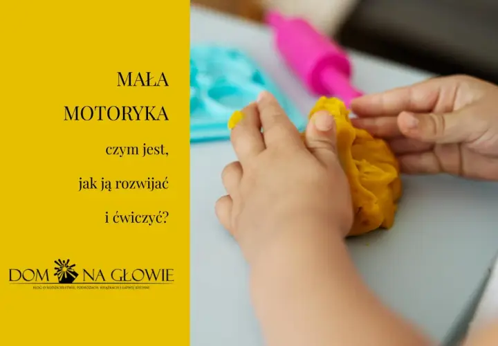 Dziecko bawi się plasteliną, rozwijając motorykę małą.
