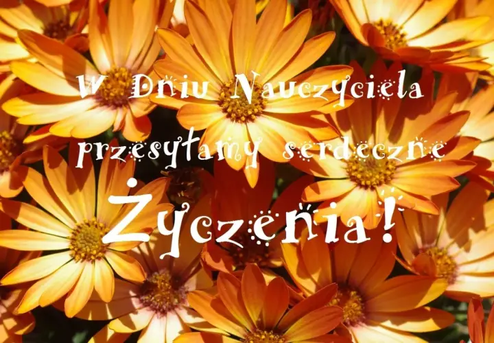 Zbliżenie na pomarańczowe kwiaty z białym napisem "W Dniu Nauczyciela przesyłamy serdeczne życzenia!".