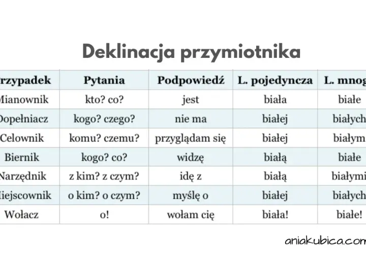 Tabela deklinacji przymiotnika z przypadkami, pytaniami, podpowiedziami i formami liczby pojedynczej i mnogiej.