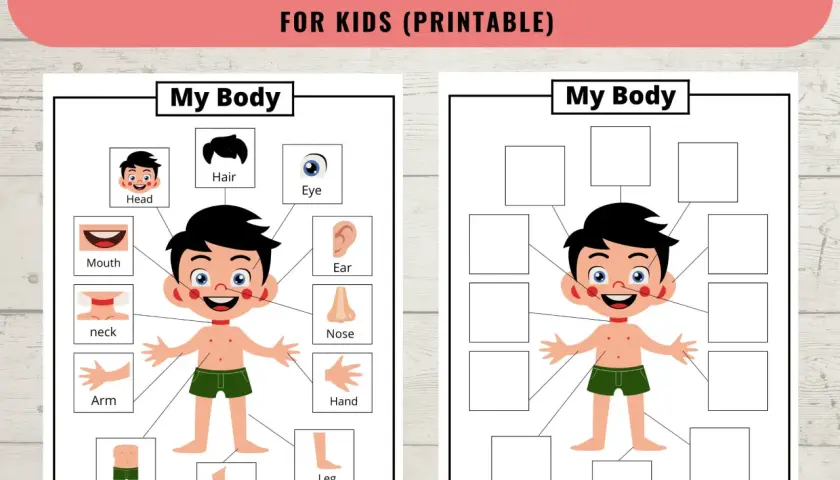 Ilustracja edukacyjna dla dzieci z częściami ciała do dopasowania.