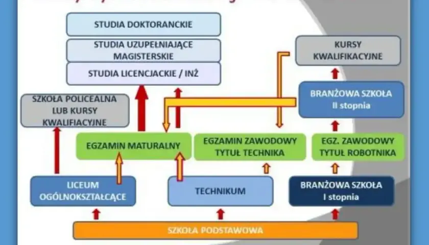 Schemat ścieżek kształcenia w nowym systemie edukacji, od szkoły podstawowej do studiów doktoranckich.