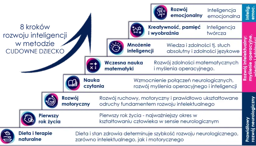 Schemat 8 kroków rozwoju inteligencji dziecka: od rozwoju motorycznego po dietę i terapie.