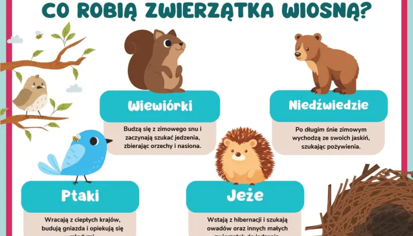 Ilustracja przedstawia zwierzęta budzące się wiosną: wiewiórkę, niedźwiedzia, ptaki i jeża.