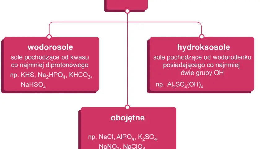 Schemat klasyfikacji soli: wodorosole, hydroksosole, obojętne.