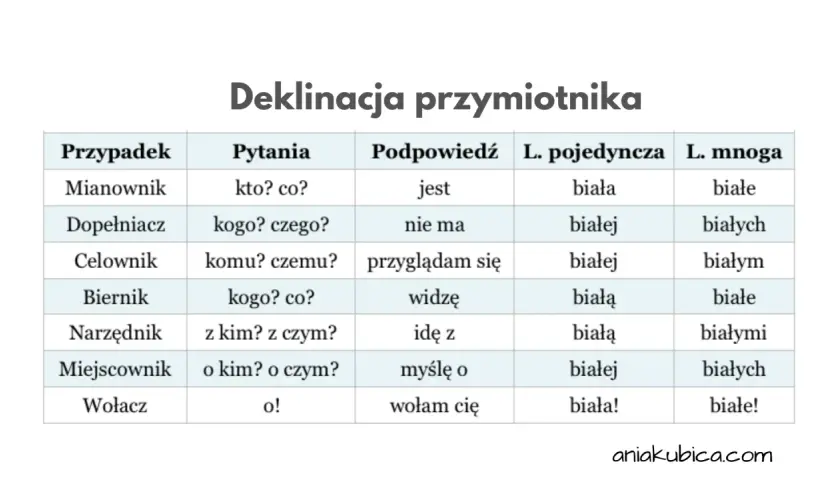 Tabela deklinacji przymiotnika z przypadkami, pytaniami, podpowiedziami i formami liczby pojedynczej i mnogiej.