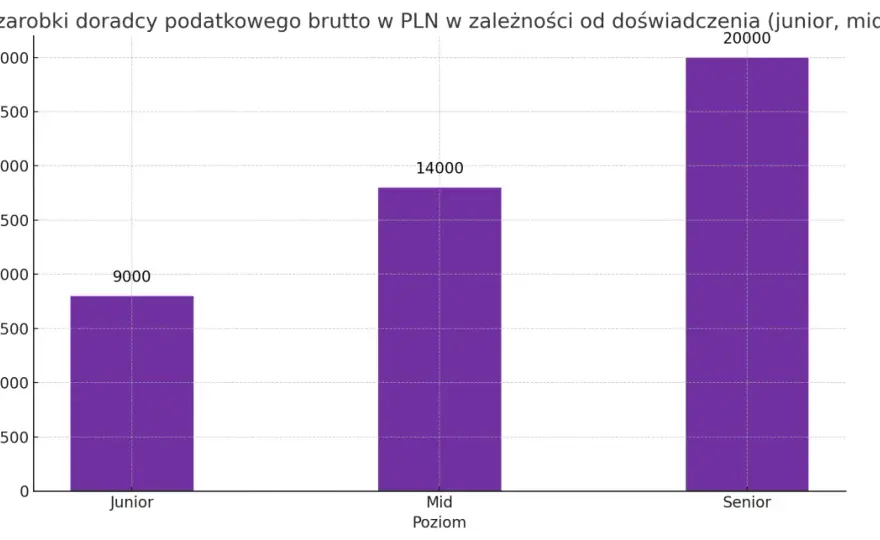 Doradca podatkowy - zarobki. Ile naprawdę można zarobić?