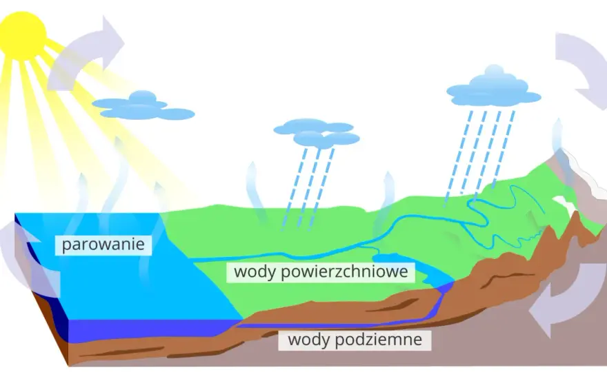 Jak powstaje deszcz? Cały obieg wody i sekrety chmur
