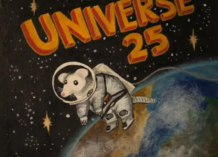 Eksperyment Universe 25: Lekcja dla ludzkości?