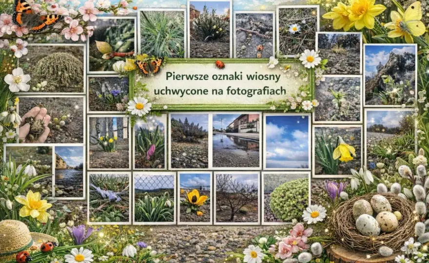 Jak rozpoznać pierwsze oznaki wiosny? Zobacz 5 sygnałów!