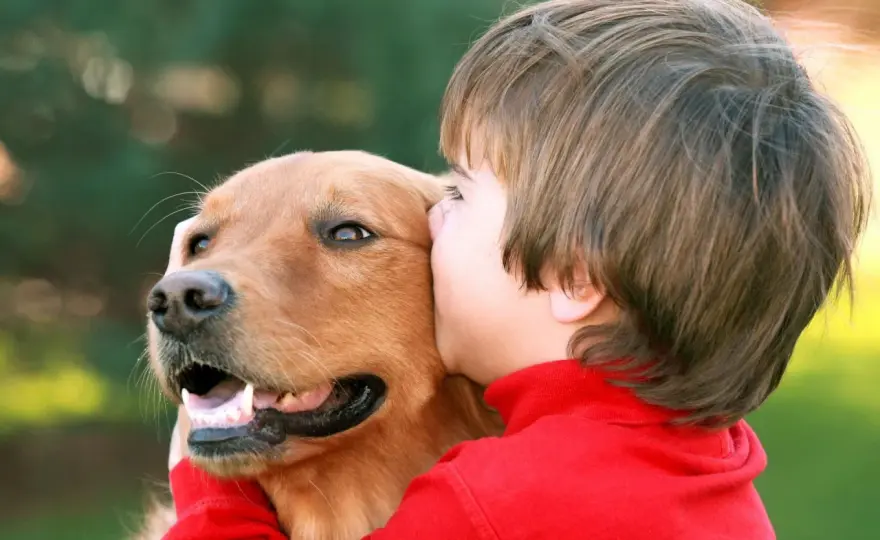 Dogoterapia dla dzieci - Jak wspiera rozwój i kiedy ma sens?
