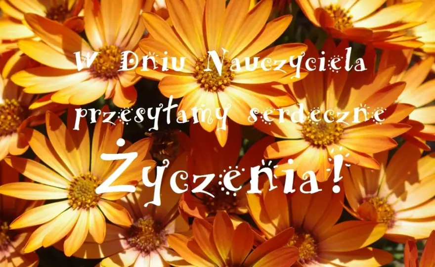 Życzenia na Dzień Nauczyciela - Mądre, krótkie, bez patosu
