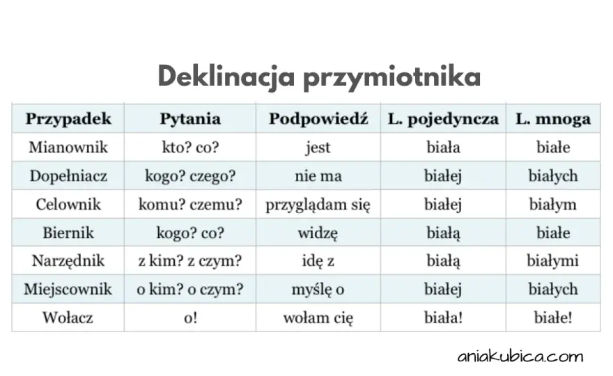Odmiana przymiotnika - Proste zasady i ćwiczenia bez nudy