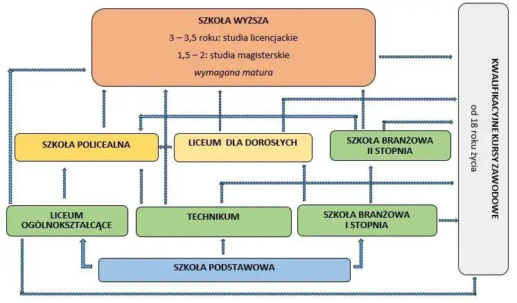 Infografika polski system edukacji etapy