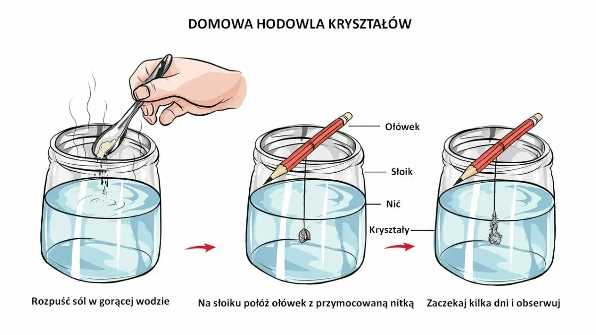 problemy z hodowlą kryształów soli