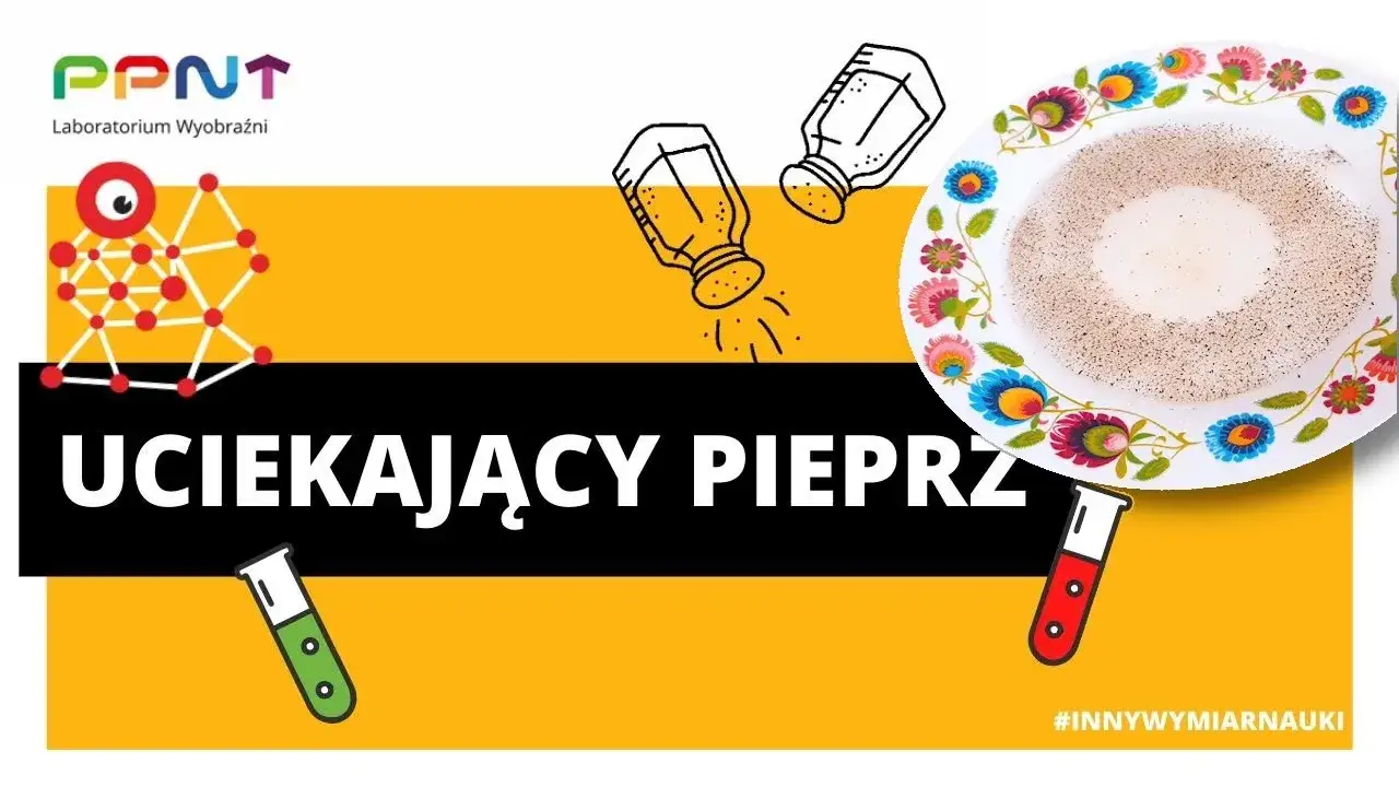 Zdjęcie Eksperyment z pieprzem: proste doświadczenie, które zachwyci dzieci